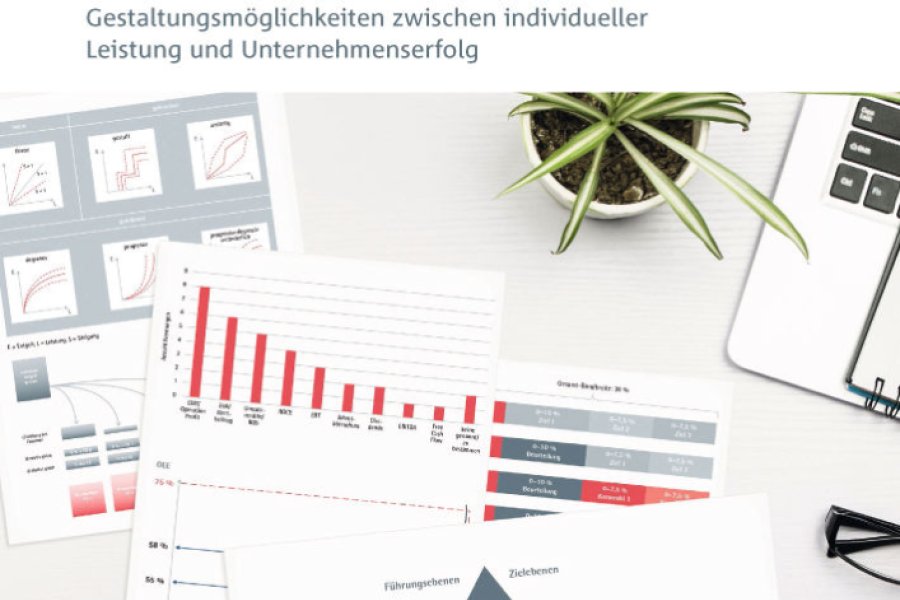 Cover „Kennzahlenbasiertes Leistungsentgelt“ Bild: ifaa