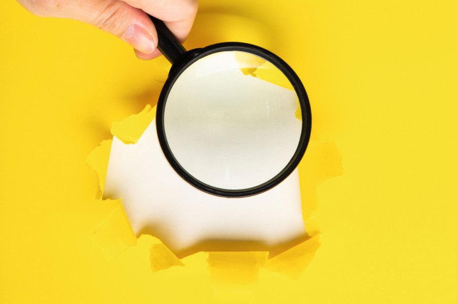  Bild: chee siong teh/stock.adobe.com