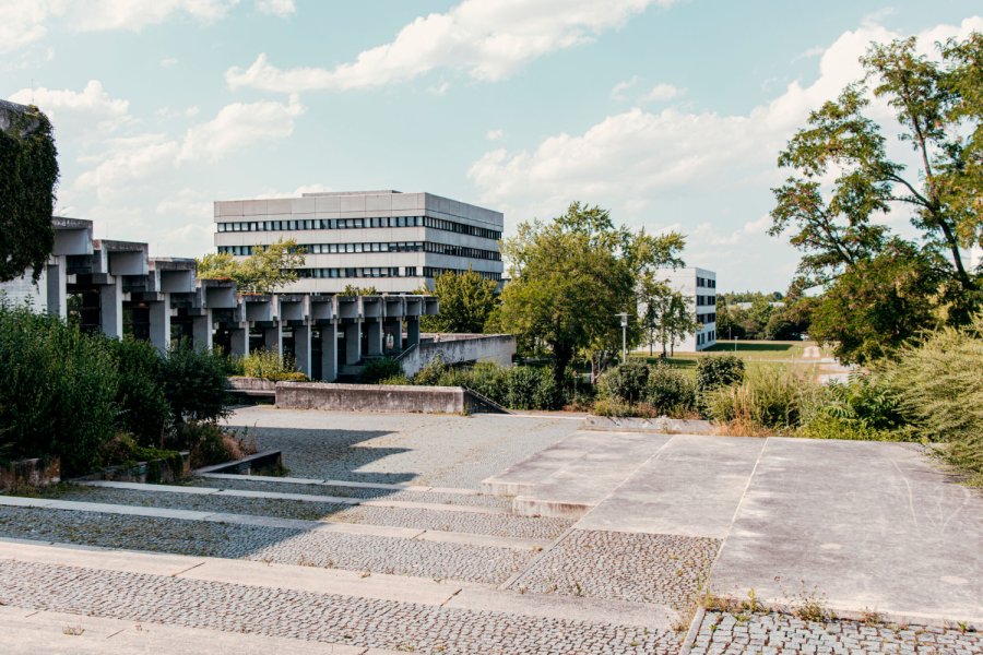  Bild: 451868341/ Jens Diedrich/stock.adobe.com