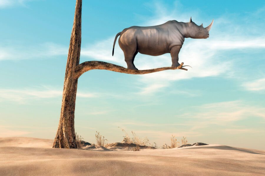 rhino stands on thin branch of withered tree in surreal landscape. This is a 3d render illustration Bild: Orlando Florin Rosu/stock.adobe.com