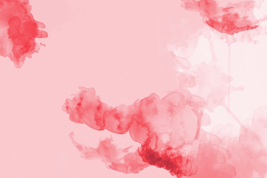 Bild: gillianvann / stock.adobe.com