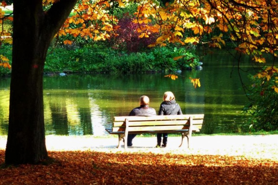Quelle: pixabay.com